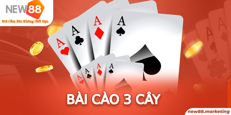 mcw 19 bản đồ sao cá nhân