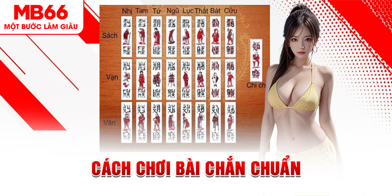 mcw 19 gà chọi cậu thanh