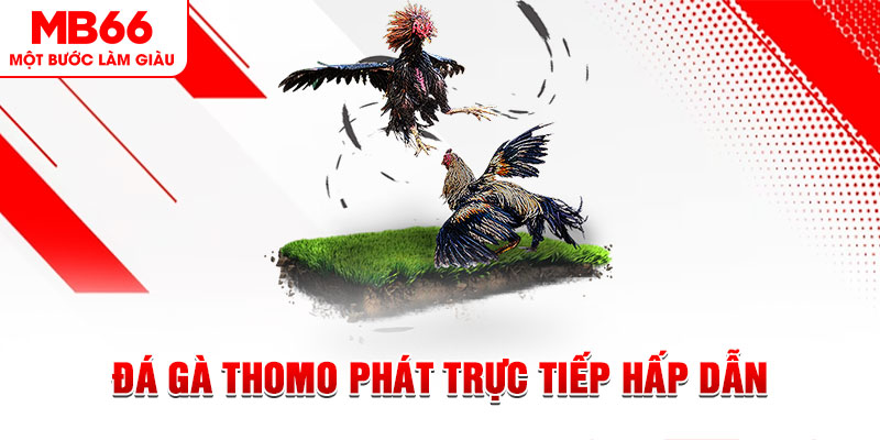mcw 19 dự đoán xổ số miền trung