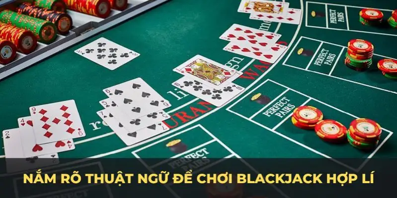 mcw 19 c1 gà chọi