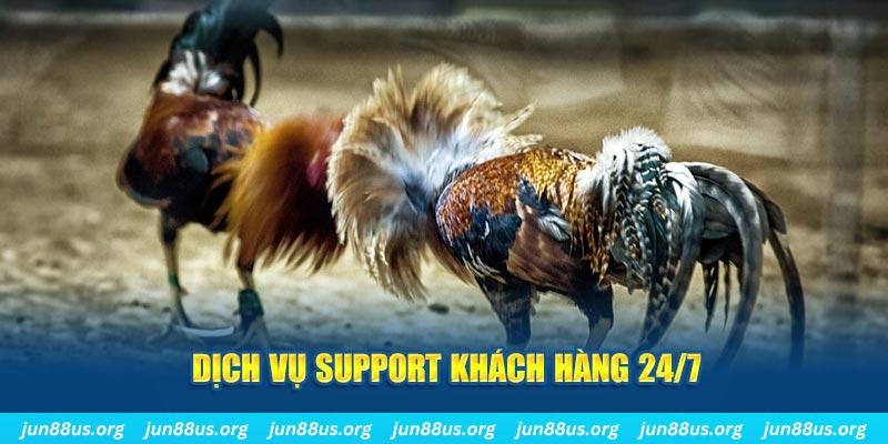 mcw 19 ÁT CHỦ BÀI GIÀNH LẤY ZHUANG NIUNIU ( XEM 4 LÁ )