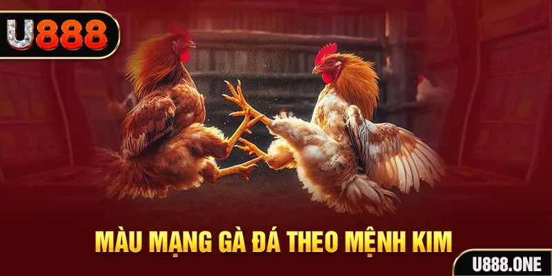 mcw 19 Cỡ bảy