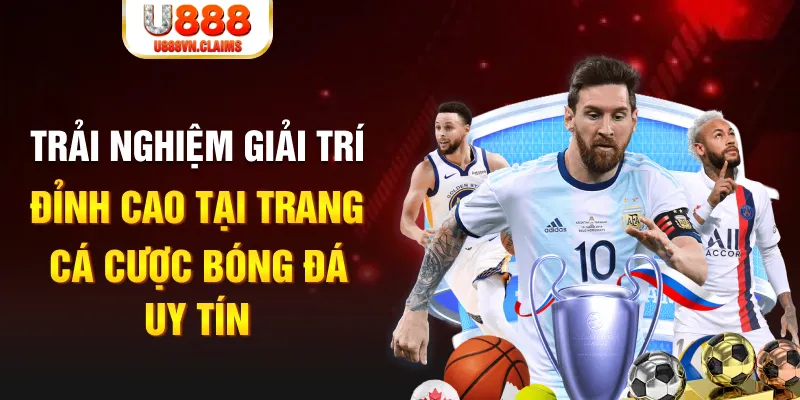 mcw 19 gà chọi hoà phong