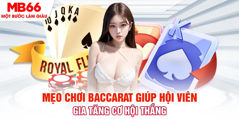 mcw 19 Cuộc gọi đã bị ngắt