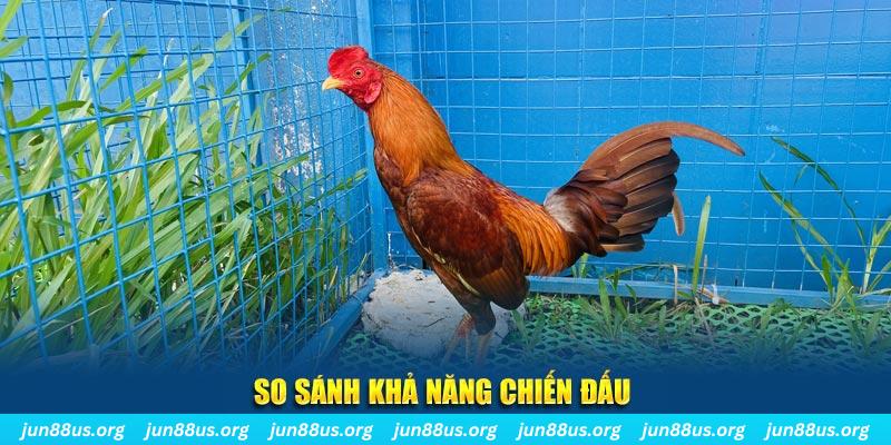 mcw 19 CQ9 Điện Tử