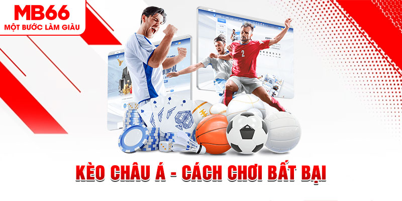 mcw 19 slot có nghĩa là gì
