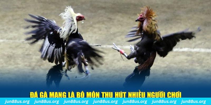 mcw 19 bắn cá au88