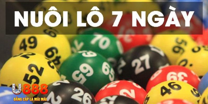 mcw 19 what are slot machines
