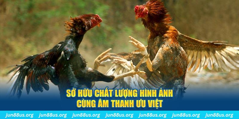 mcw 19 PP Điện Tử