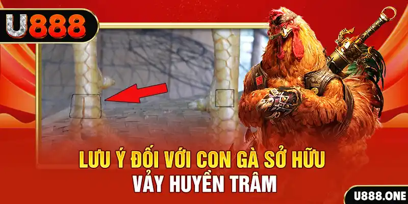 mcw 19 kết quả xổ số miền nam hôm nay