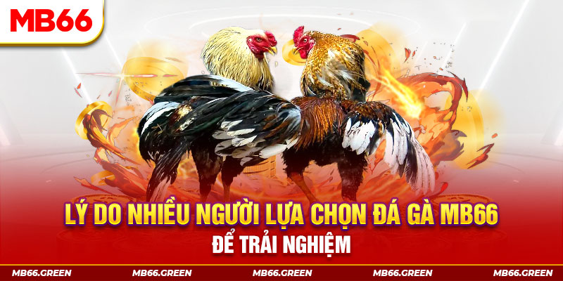 mcw 19 xổ số miền bắc thứ bảy hàng tuần