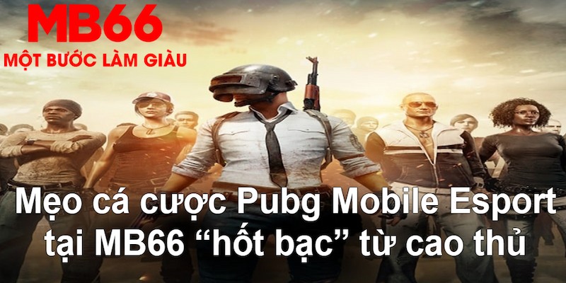 mcw 19 VA Bắn cá
