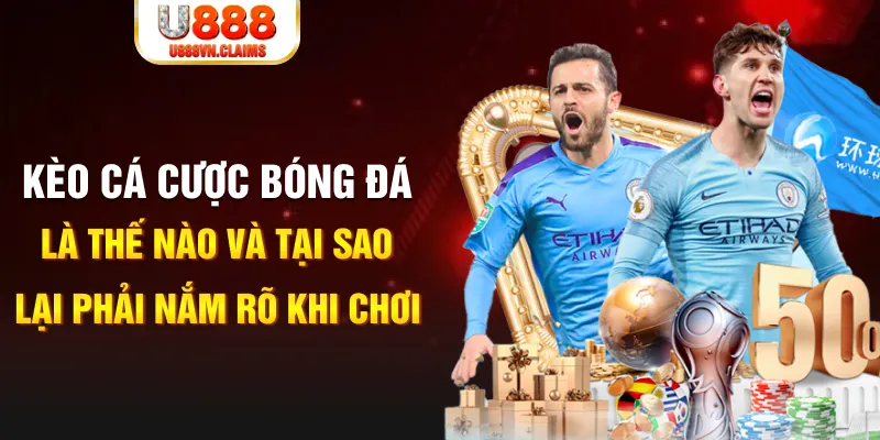 mcw 19 xổ số kiến thiết