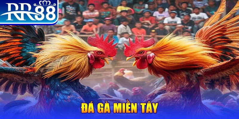 mcw 19 no hu doi thuong ai