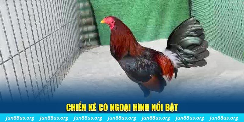 mcw 19 game nổ hũ là gì